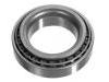 輪轂軸承 Wheel bearing:002 980 19 02